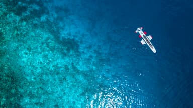 世界初の3人乗り潜水艦での冒険