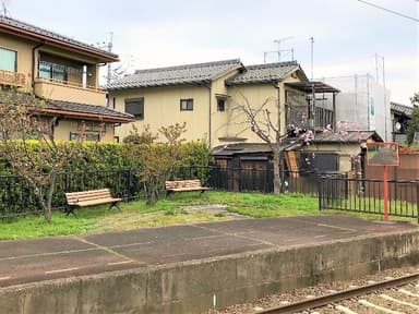 植栽予定場所（北野白梅町行きホームの緑地）