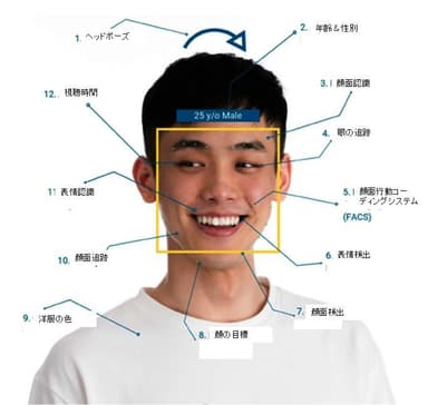 顔認識 要素