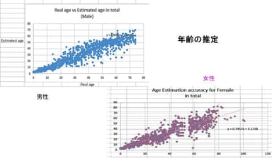 年齢推定 散布図