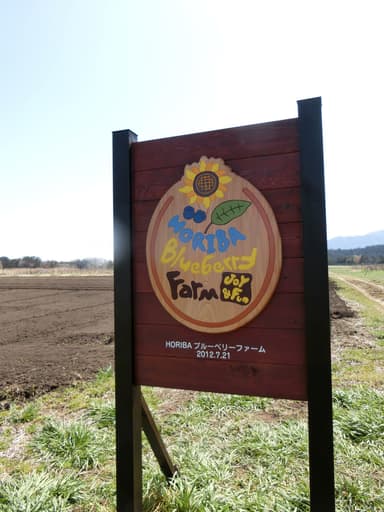 「HORIBA Blueberry Farm “Joy & Fun”」