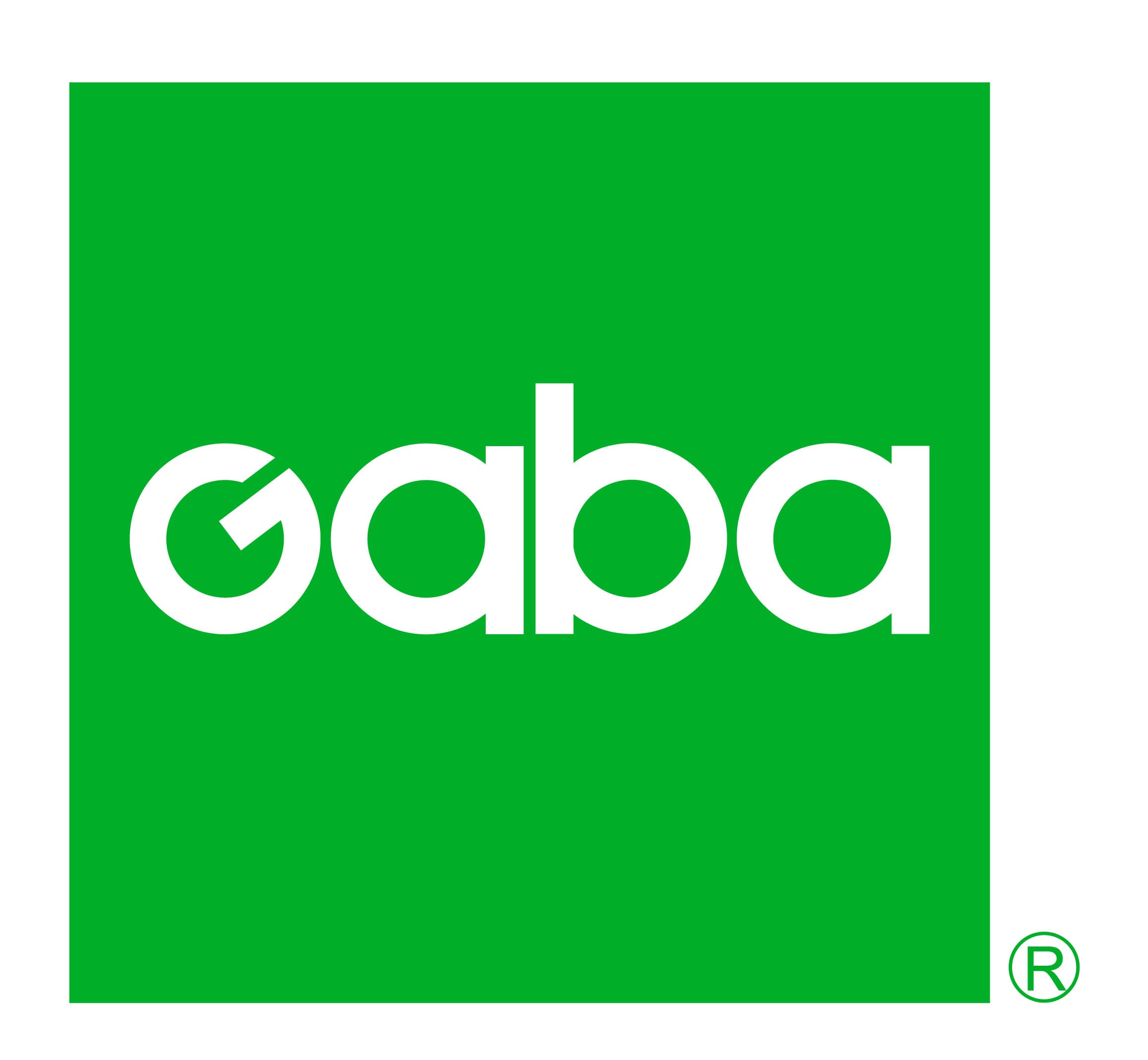 株式会社GABA、代表取締役の異動に関するお知らせ