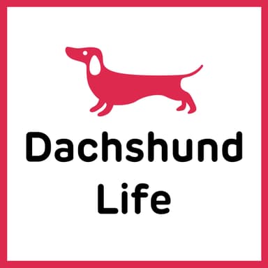 Dachshund Lifeアイコン