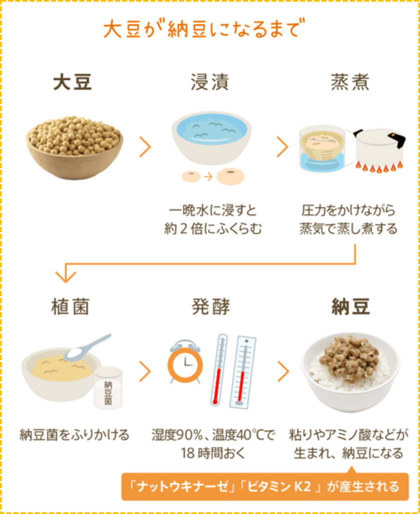 新生活応援！納豆を上手に摂り入れよう　
納豆づくりに欠かせない「納豆菌」のうれしい機能性に注目　
おかめ「納豆サイエンスラボ」WEBサイトで新コラム公開