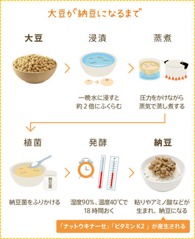 大豆が納豆になるまで