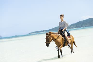 透き通る海で乗馬体験