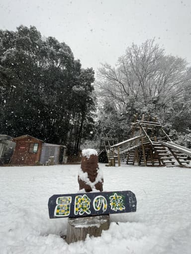 雪合戦も楽しめる