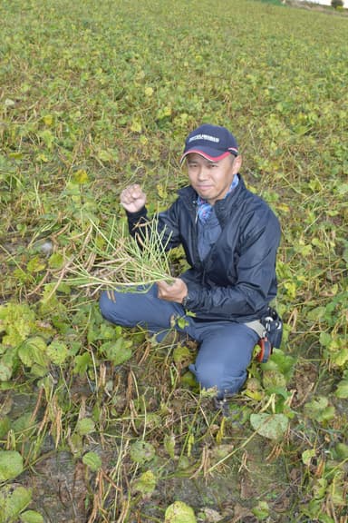 生産者　中出 靖大