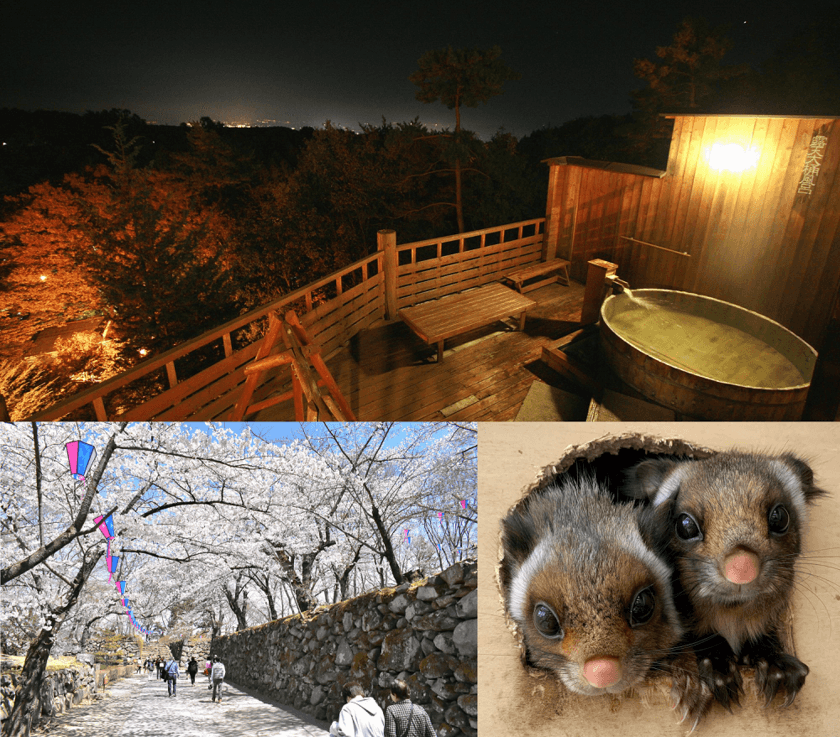 信州 小諸へヴァーチャル旅行！？
自宅で味わう温泉、お花見、動物園