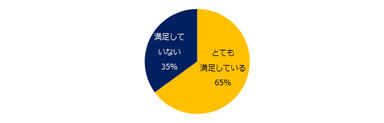 派遣で働いたことがある方に伺います。働き方の満足度はいかがですか