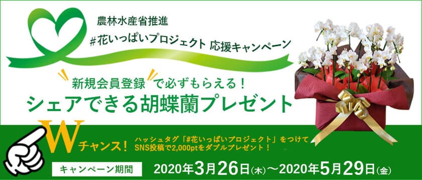 花いっぱいプロジェクト応援キャンペーン　
新規会員登録で
「幸せのおすそわけ・シェアタイプ胡蝶蘭」プレゼント実施中！