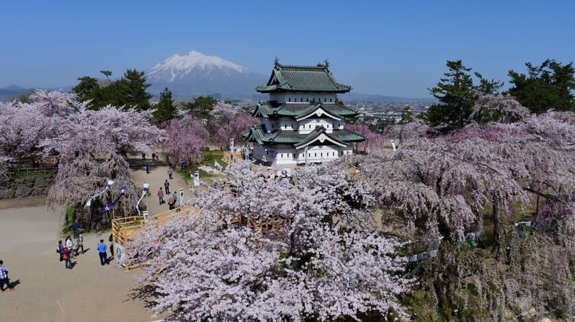 青森県「弘前さくらまつり」
新型コロナウイルス感染予防と拡大防止のため開催を中止