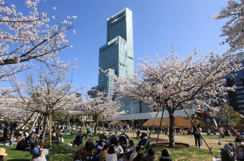 天王寺公園エントランスエリア「てんしば」
２０１９年度の年間入園者数は約５００万人に
～昨年度に引き続き、過去最多を更新しました～