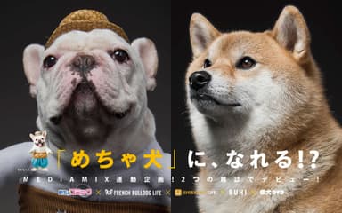 「フレブルvs柴犬」キャンペーン