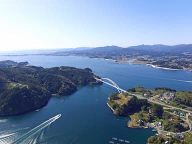 空から見た気仙沼大島