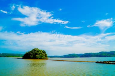 壱岐オリーブ園のはじまり