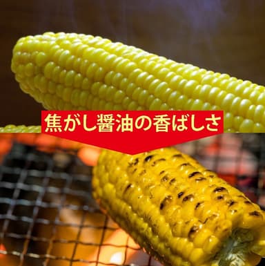 レンチンでも焼きの風味に