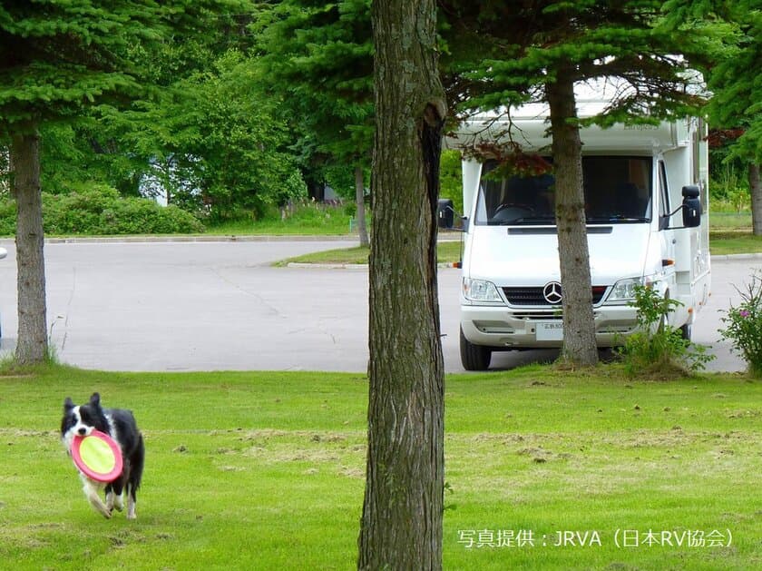 「ペットと楽しむキャンピングカーライフ」に関する調査を実施
　行き先や車内でのペットの過ごし方、世話の仕方などを調査