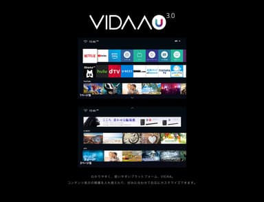 VIDDA3.0