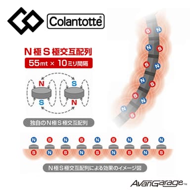 N極S極交互配列