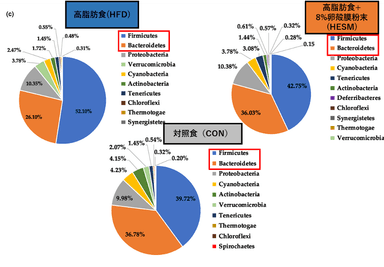 卵殻膜接種による腸内細菌叢の変化 2