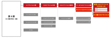 試験ウイルス