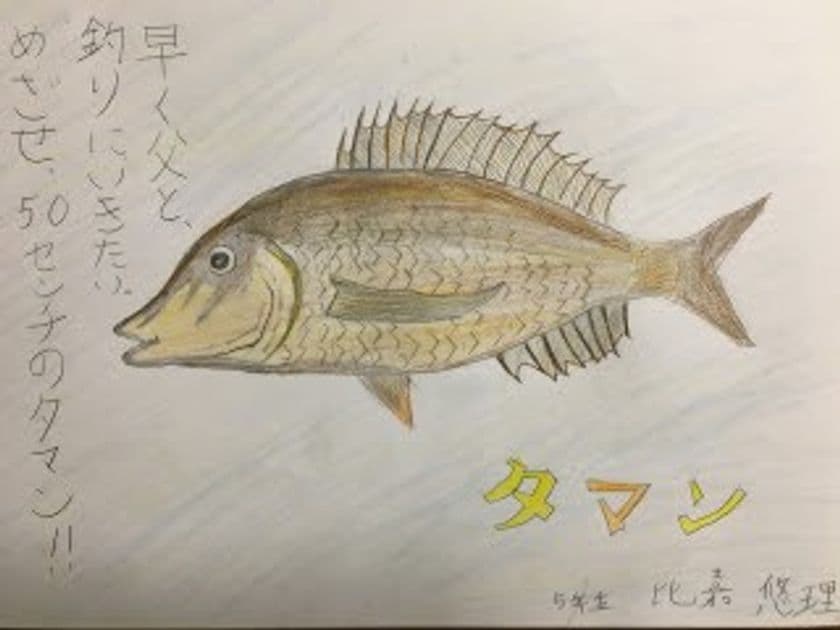 海に行けない子どもたちを応援！
「泳げ！みんなのお魚プロジェクト」を開催
子どもたちが描いたイラストがTVCMに!?