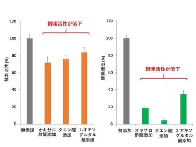 図2. 5  mM 代謝産物存在下のSyG6PDH(左)とSy6PGDH(右)活性