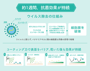 約1週間、抗菌効果が持続