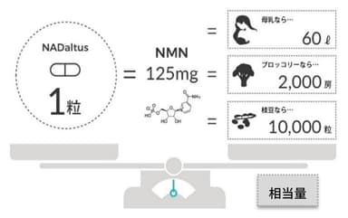 NADaltus1粒に含まれるNMNの換算相当量