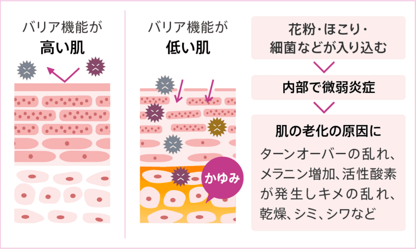 「こんにゃくセラミド」でお肌のうるおいアップ！？　
おうち時間にお肌ケア　
全身のうるおいに期待「こんにゃくセラミド」に注目