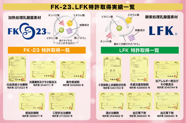 FK-23、LFK特許取得実績一覧