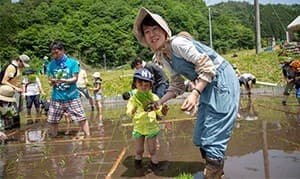 家族連れに人気の田植え(2018年の様子)