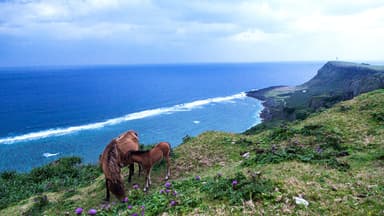 日本最西端　与那国島