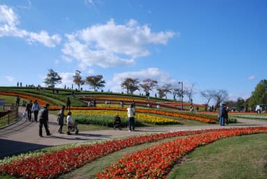 【広陵町】馬見丘陵公園