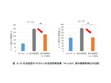 IL-37の低下