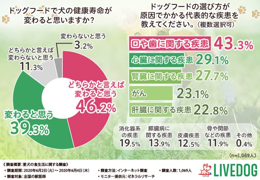 【ドッグフードの選び方を間違えると〇〇の疾患に！？】
獣医師が考えるドッグフード選びのポイントを徹底調査！