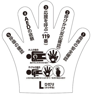 左手側 - 心肺蘇生法の手順