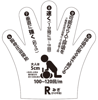 右手側 - 心肺蘇生法の手順