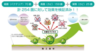 抗ウイルスコーティングは254種類の菌に対して効果を検証済み