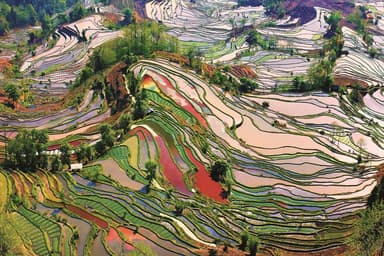 紅河ハニ棚田群の文化的景観　撮影：黄漢波