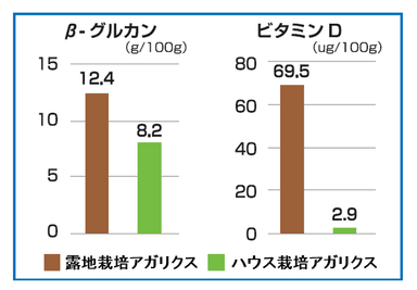 栄養成分の比較