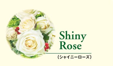 Shiny Roseイメージ