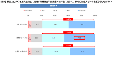 【図５】政府の対応