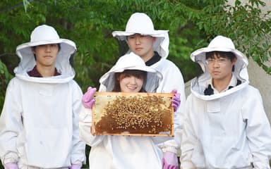 八王子キャンパスで養蜂