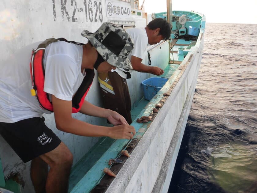 東京の島で、島暮らし体験をしてみませんか？
～東京都島しょ振興公社 農業・漁業就業体験事業のご案内～