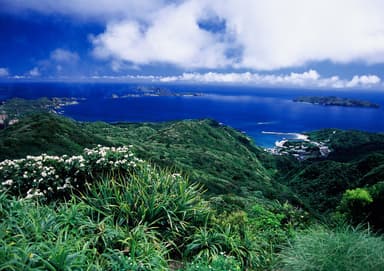 (小笠原母島)乳房山