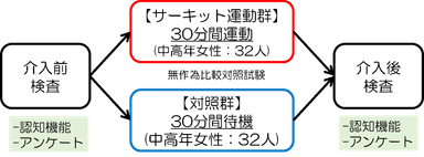 図1 研究の方法の概要(東北大提供)