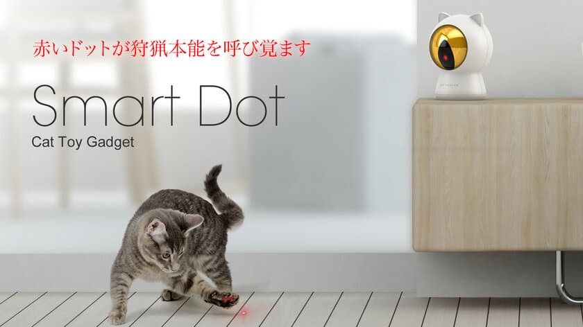 運動不足を解消して肥満のリスクを軽減　
猫専用スマートガジェット「Smart Dot」
クラウドファンディングMakuakeで先行発売！