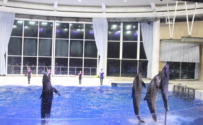 アクアワールド茨城県大洗水族館　
初開催！大洗町の酒蔵が提供するお酒と地産フードと共に、
夜の水族館を特別大公開！！
『宴夜(えんや)』
～ 大人のためのナイトアクアリウム ～